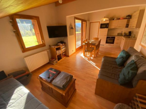 Appartement spacieux proche des pistes avec Multi Pass à 3€/jour/personne ! - FR-1-692-14
